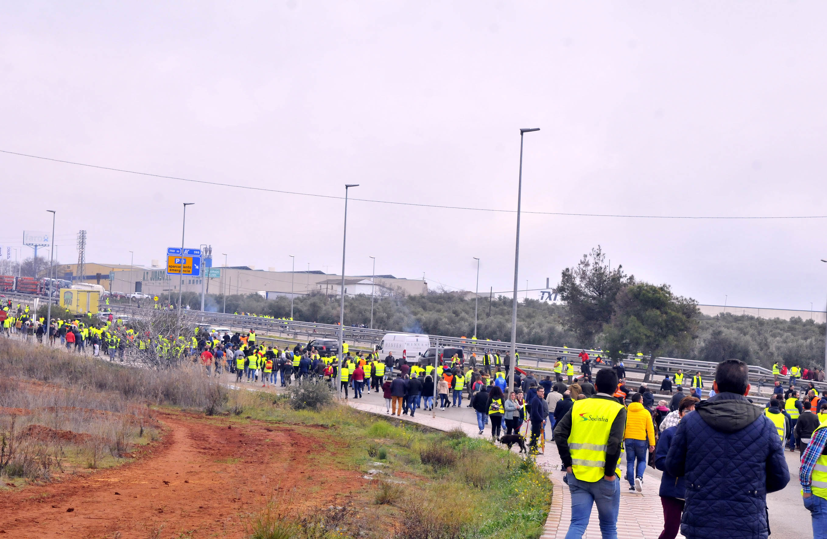 Miles de trabajadores del sector del olivar se han manifestado en toda la provincia de Jaén