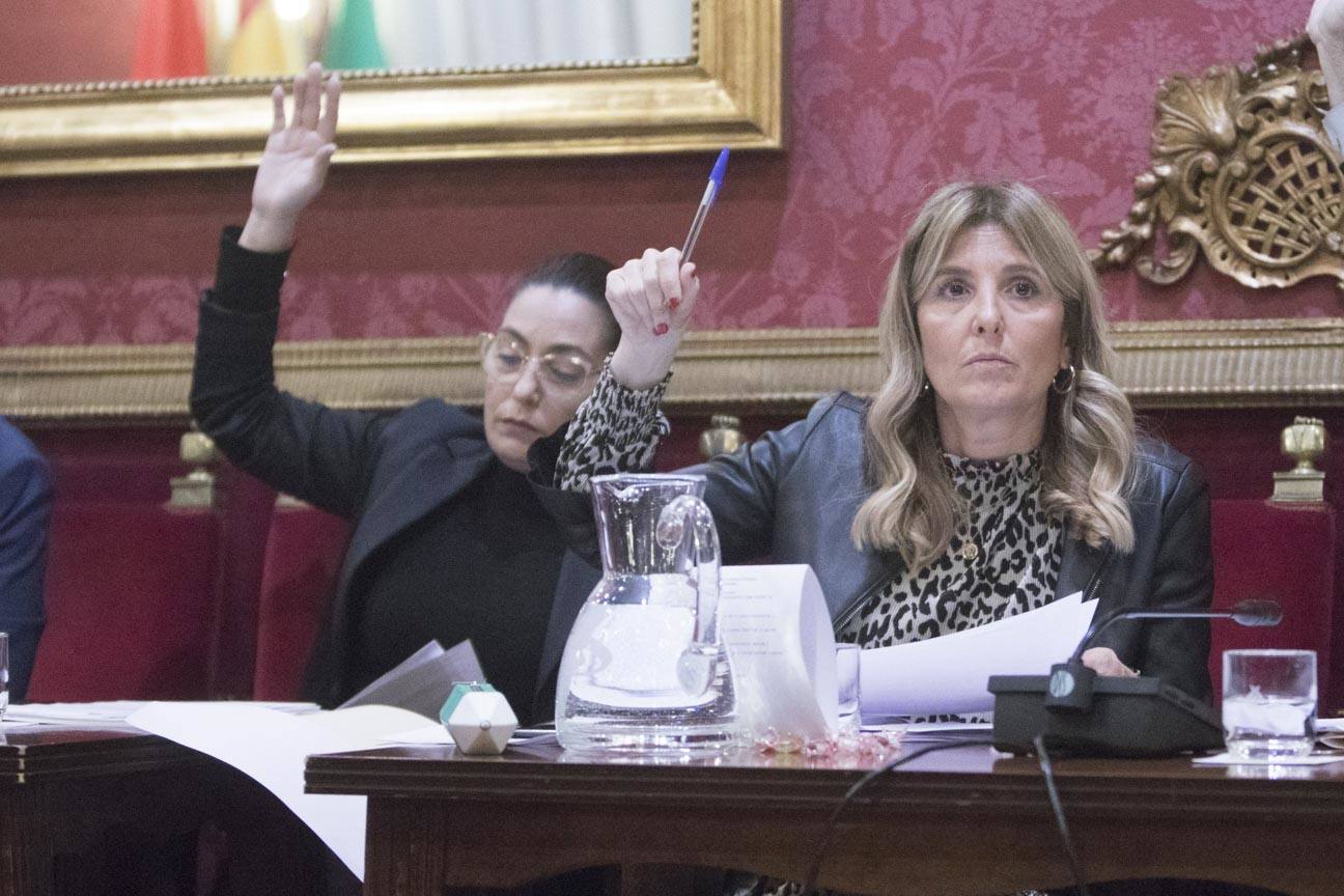 El mandatario popular ha anunciado su salida de la dirección del partido a nivel provincial en el pleno ordinario del Ayuntamiento de Granada 