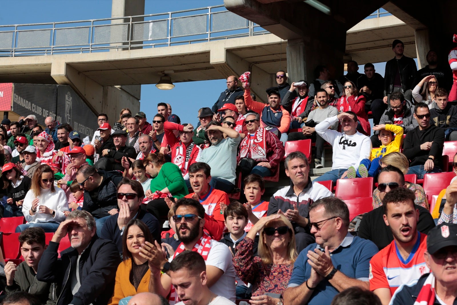 ¿Has estado en el choque de este mediodía en el campo del Zaidín? Aquí te puedes buscar