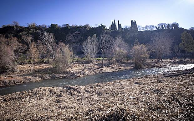 Las cañas dificultaban el paso de agua.