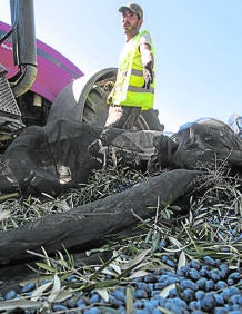 Imagen secundaria 2 - Viaje a Montefrío: «Si el olivar cae, lo hará el pueblo entero»