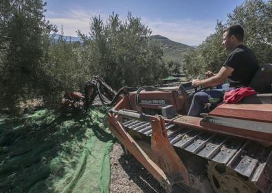 Imagen secundaria 1 - Viaje a Montefrío: «Si el olivar cae, lo hará el pueblo entero»