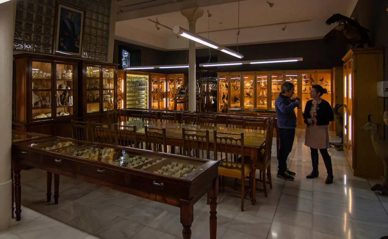 El instituto cuenta con un museo que se ha convertido en un referente científico y cultural.