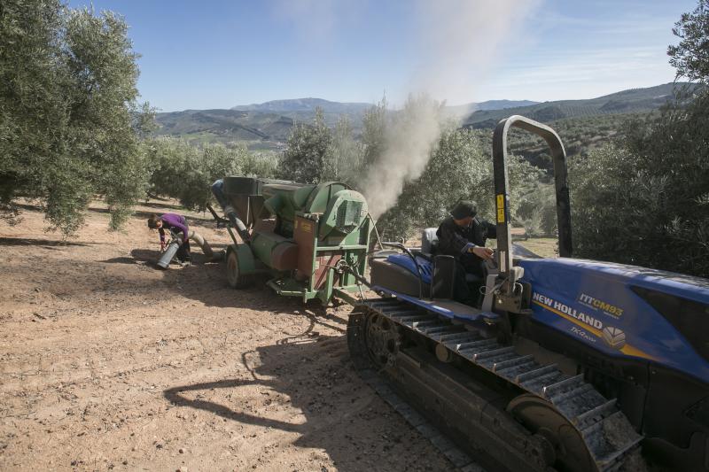 Los trabajadores del campo granadinos reclaman soluciones ante la crisis del sector