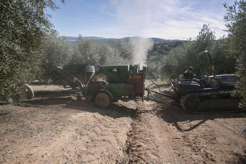 Los trabajadores del campo granadinos reclaman soluciones ante la crisis del sector