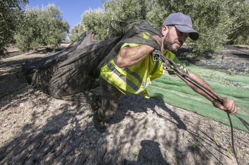 Los trabajadores del campo granadinos reclaman soluciones ante la crisis del sector