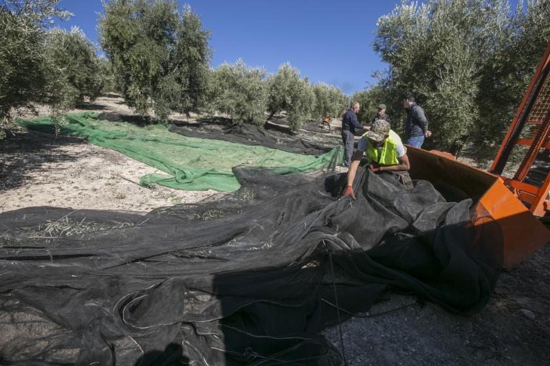 Los trabajadores del campo granadinos reclaman soluciones ante la crisis del sector