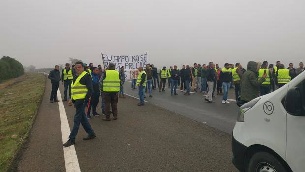 Fotos: Agricultores de Córdoba y Jaén cortan la A-4