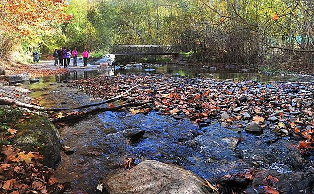 El Genil, en las cercanías de Pinos Genil posee parajes especialmente románticos 