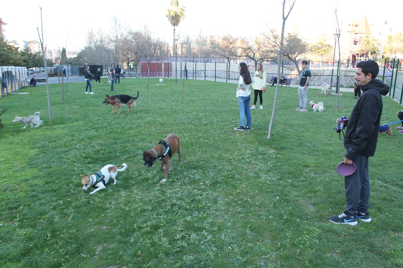 El Ayuntamiento resalta la apuesta por estas instalaciones para mascotas y anuncia que estudia abrir otro similar en Las Fuentezuelas