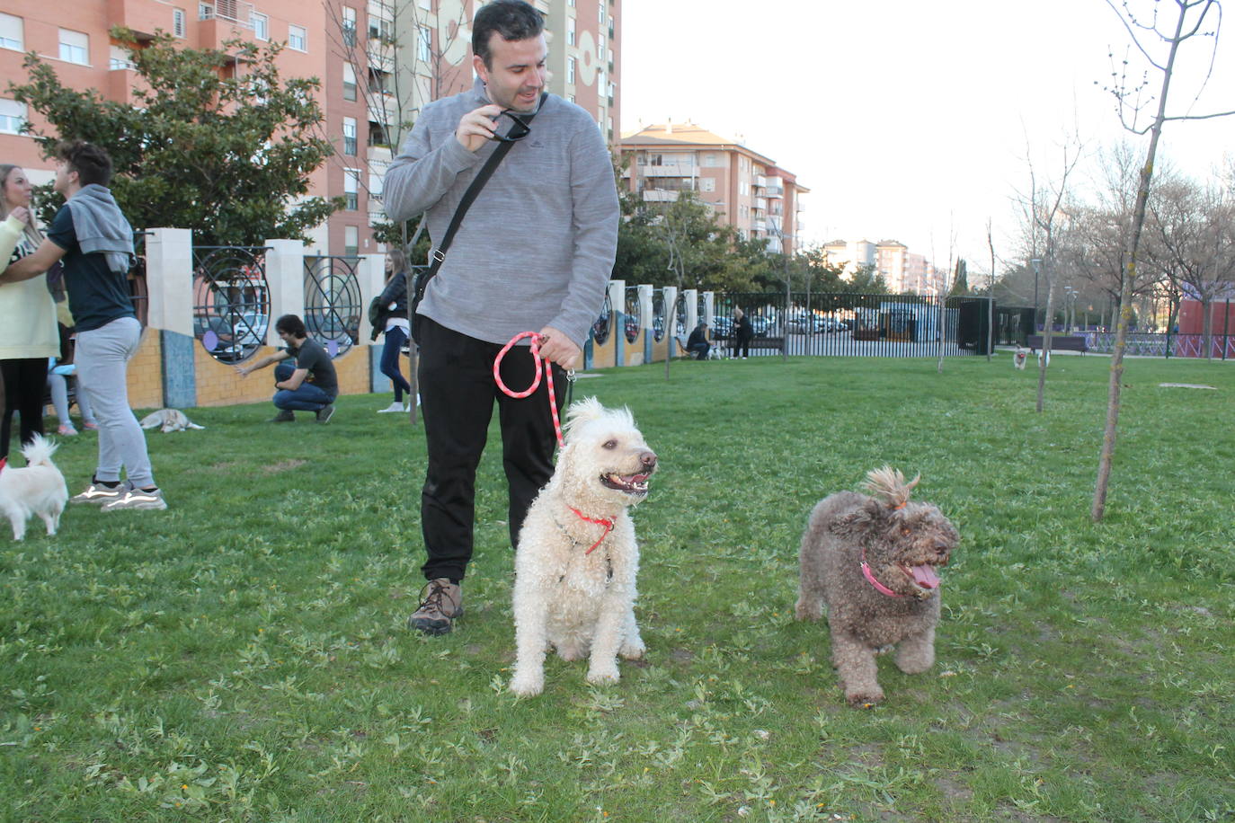 El Ayuntamiento resalta la apuesta por estas instalaciones para mascotas y anuncia que estudia abrir otro similar en Las Fuentezuelas