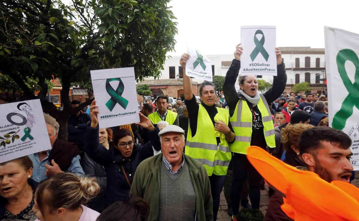 Protesta en Montoro (Córdoba) ante el Ayuntamiento a la que acudieron agricultores jienenses. 