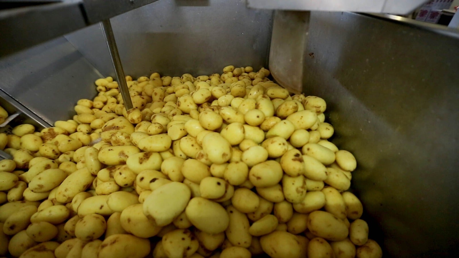 La empresa abre a IDEAL las puertas de su fábrica de Dúrcal para desvelarnos el proceso de elaboración