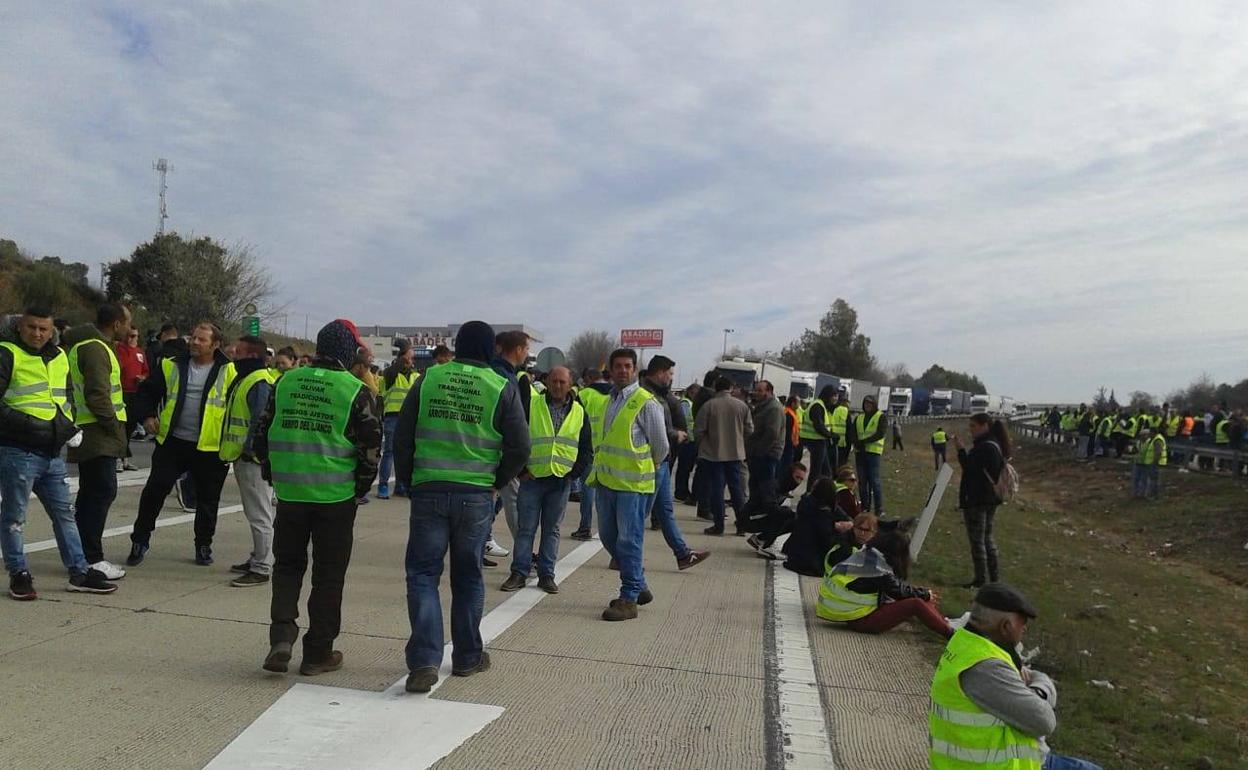 Los antidisturbios lanzan pelotas de goma y botes de humo a los olivareros para acabar con el corte