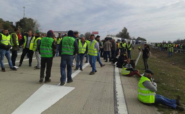 Los olivareros se están comportando de un modo pacífico. 