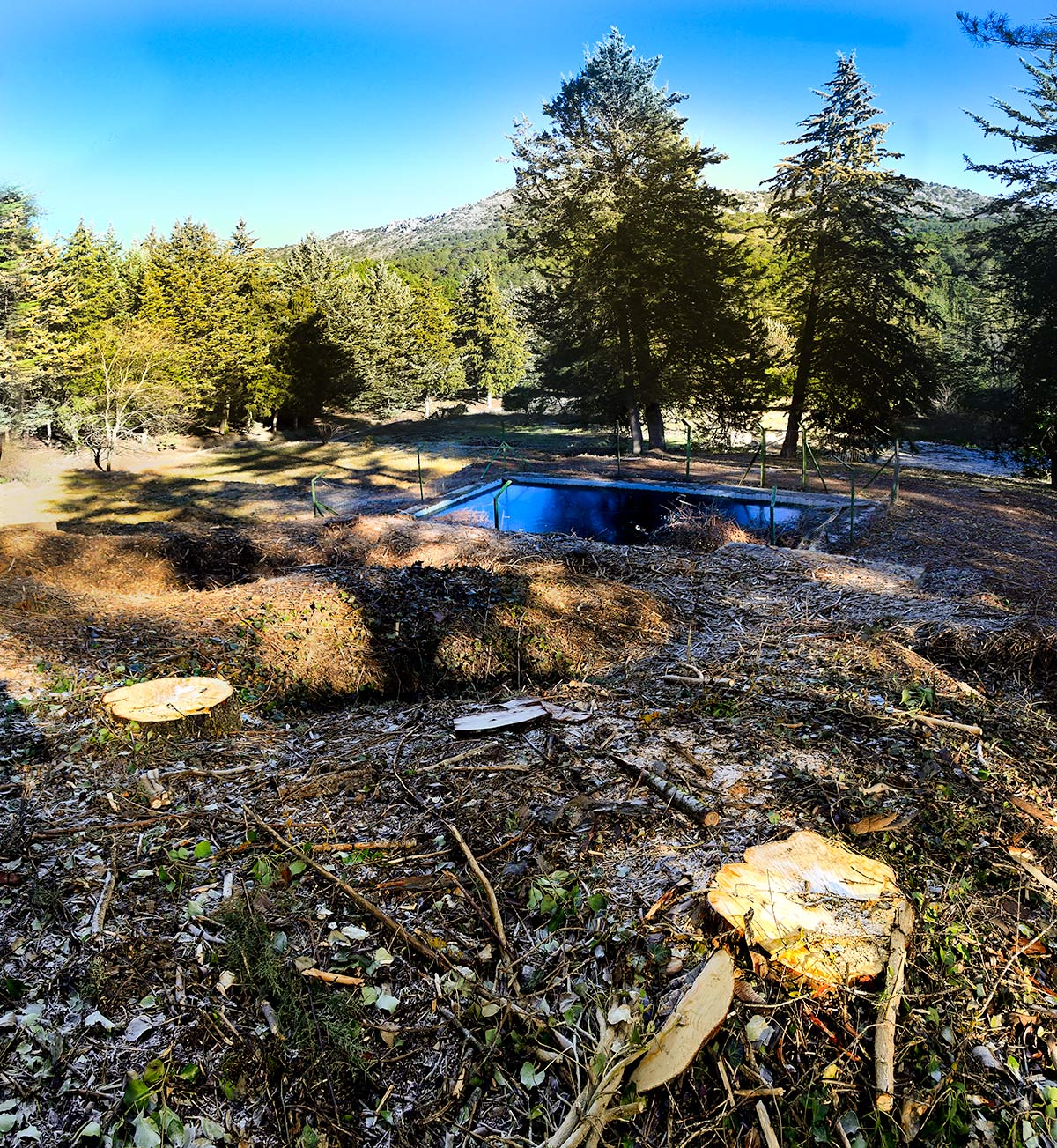 Alberca de los Peñoncillos. Las antiguas albercas y fuentes de las reforestaciones del siglo XX recuperan su imagen 