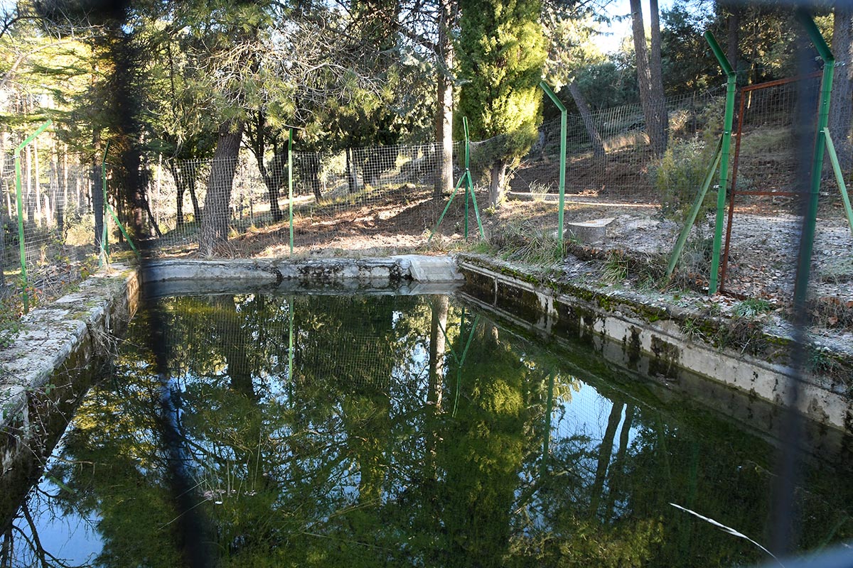 Alberca de Bolones. Las antiguas albercas y fuentes de las reforestaciones del siglo XX recuperan su imagen 