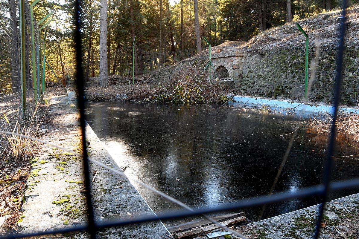 Las antiguas albercas y fuentes de las reforestaciones del siglo XX recuperan su imagen 