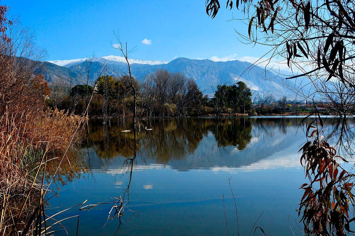 Ruta del Mamut en las lagunas y turberas de Padul 