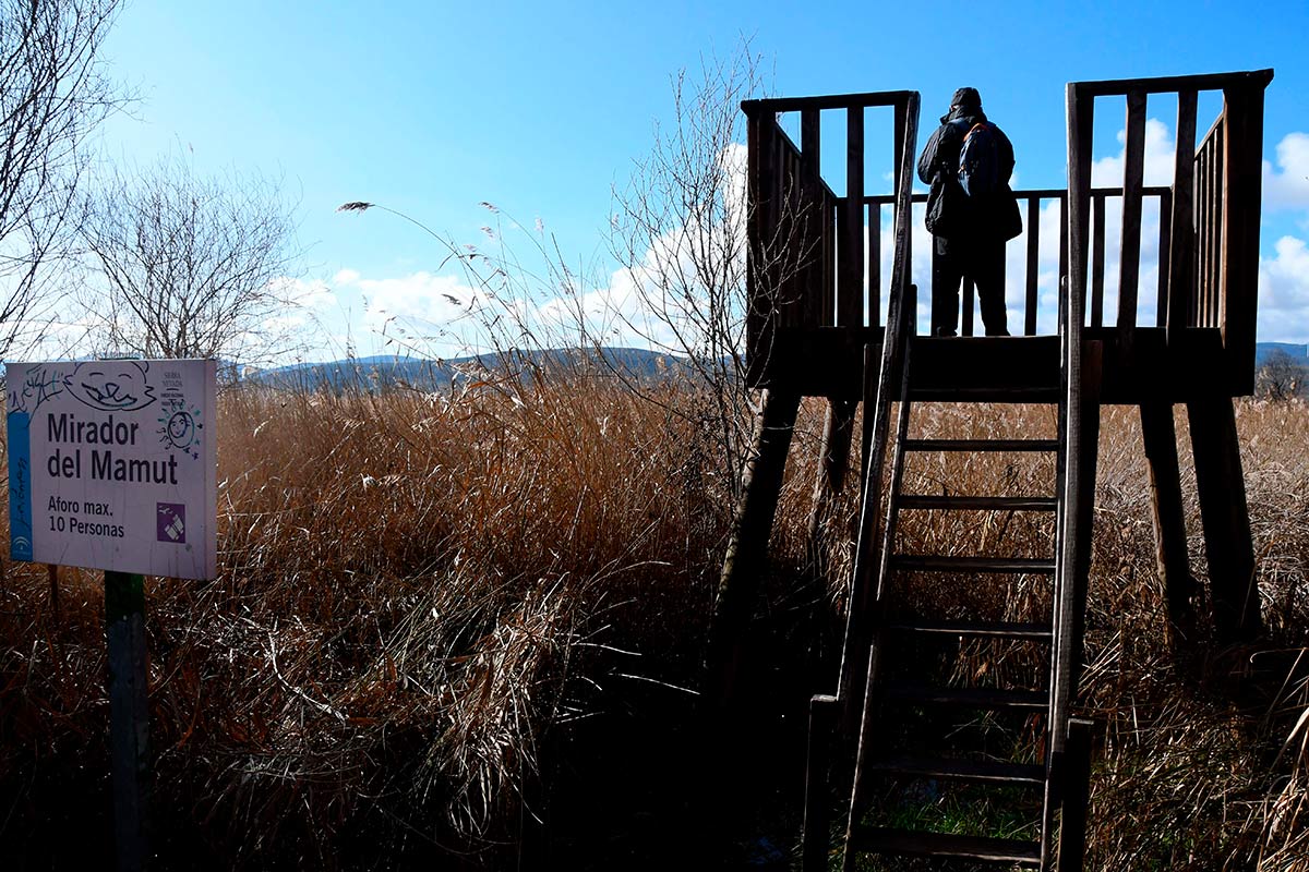Ruta del Mamut en las lagunas y turberas de Padul 