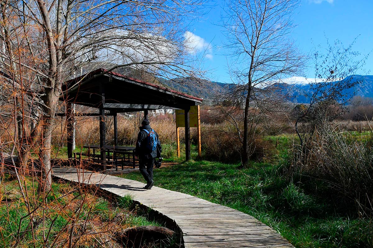 Ruta del Mamut en las lagunas y turberas de Padul 