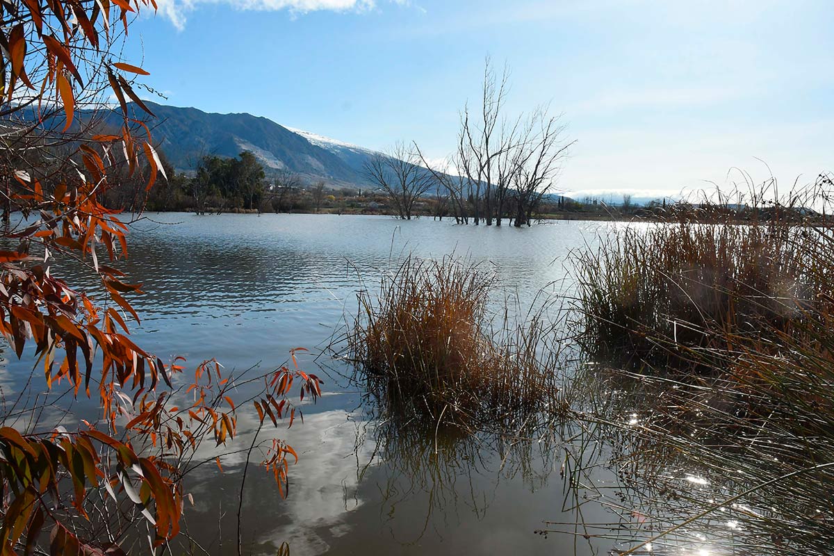 Ruta del Mamut en las lagunas y turberas de Padul 