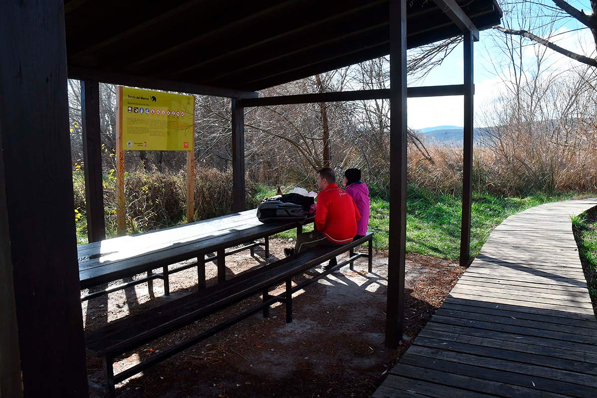 Ruta del Mamut en las lagunas y turberas de Padul 