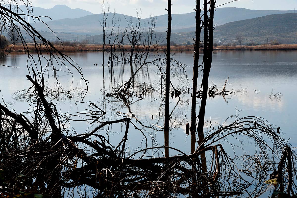 Ruta del Mamut en las lagunas y turberas de Padul 