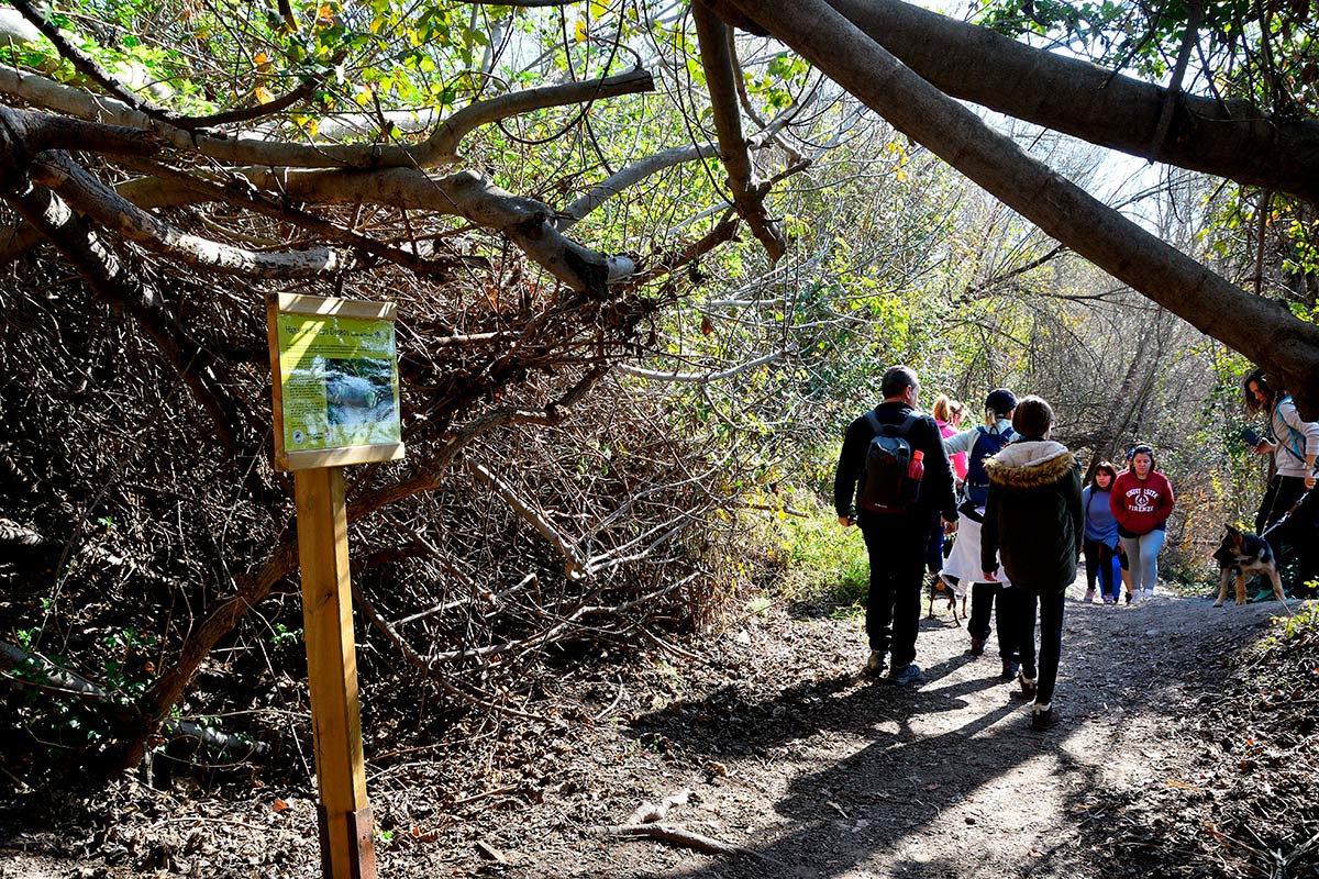 Ruta del Mamut en las lagunas y turberas de Padul 