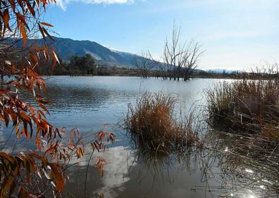 Imagen secundaria 1 - Representación de un mamut y un tigre dientes de sable; laguna de Padul; observatorio sobre el humedal. 