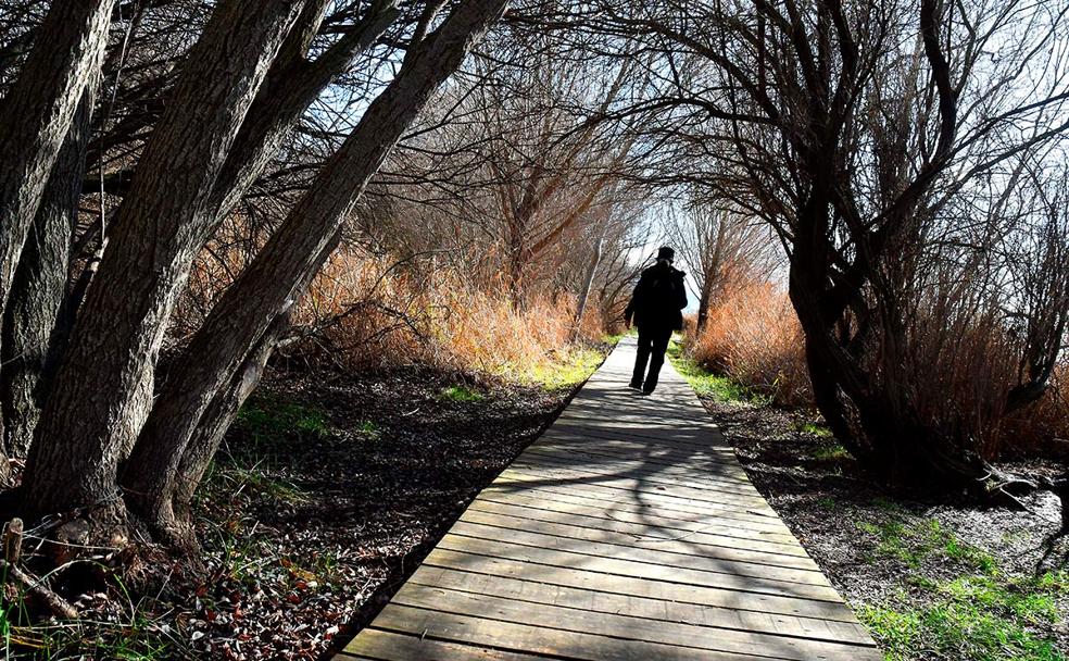 Camino de madera sobre la turbera 