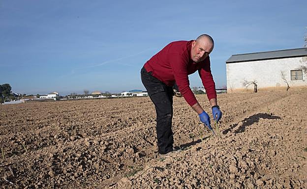 Galería. Rafael Jesús lleva toda la vida vinculado a la tierra. 