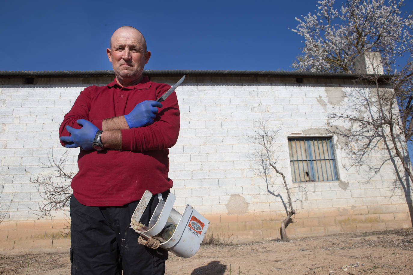 Este agricultor cultiva 400 majales (20 hectáreas) de espárragos entre Láchar y Valderrubio. «Si esto no cambia mucho;en cuanto ponga orden en las pólizas, me retiro», asegura 