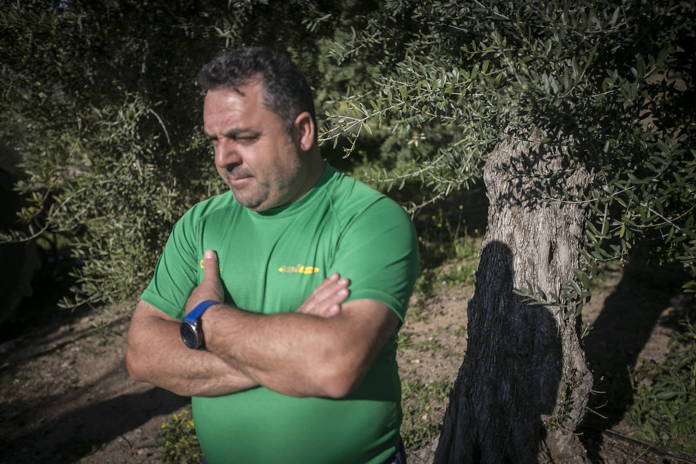 Este aceitunero, que explota un olivar a las afueras de Íllora, dejó la construcción por la tierra. Lo tiene claro: «Tal y como están las cosas, no quiero que mis hijos se dediquen a esto»
