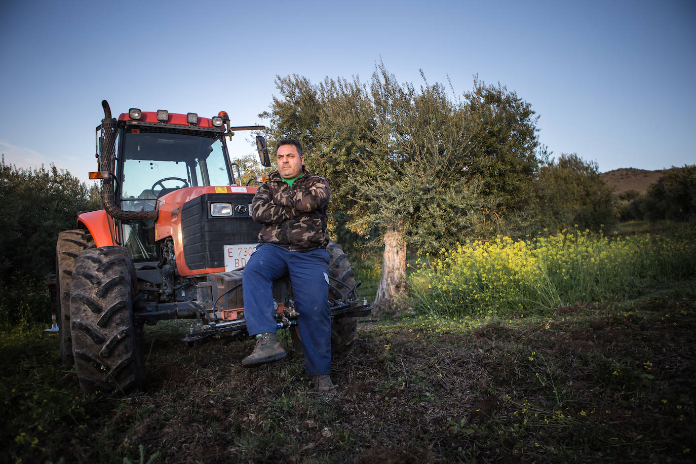 Este aceitunero, que explota un olivar a las afueras de Íllora, dejó la construcción por la tierra. Lo tiene claro: «Tal y como están las cosas, no quiero que mis hijos se dediquen a esto»