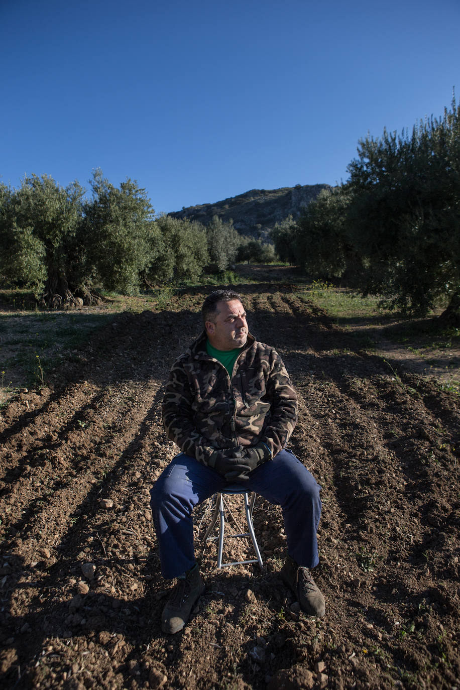 Este aceitunero, que explota un olivar a las afueras de Íllora, dejó la construcción por la tierra. Lo tiene claro: «Tal y como están las cosas, no quiero que mis hijos se dediquen a esto»