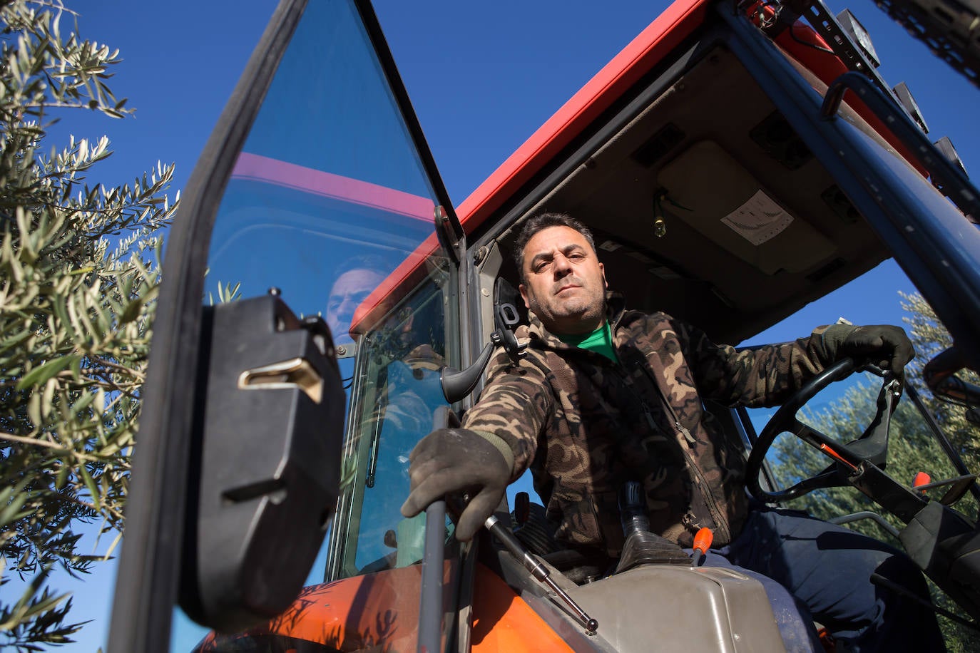 Este aceitunero, que explota un olivar a las afueras de Íllora, dejó la construcción por la tierra. Lo tiene claro: «Tal y como están las cosas, no quiero que mis hijos se dediquen a esto»