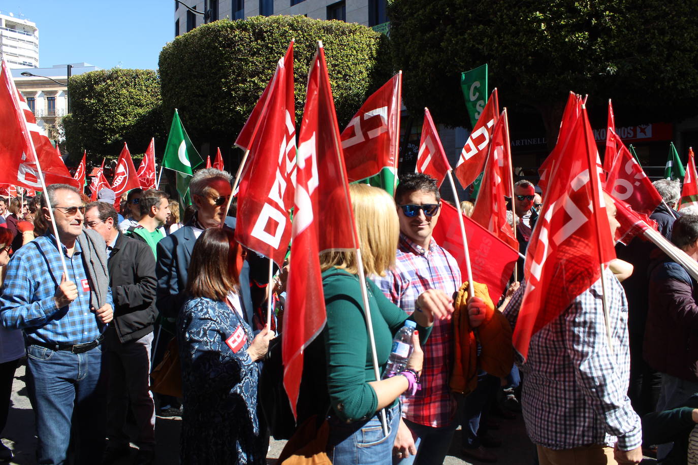 Un millar de manifestantes se han echado a la calle contra el decreto de escolarización. 