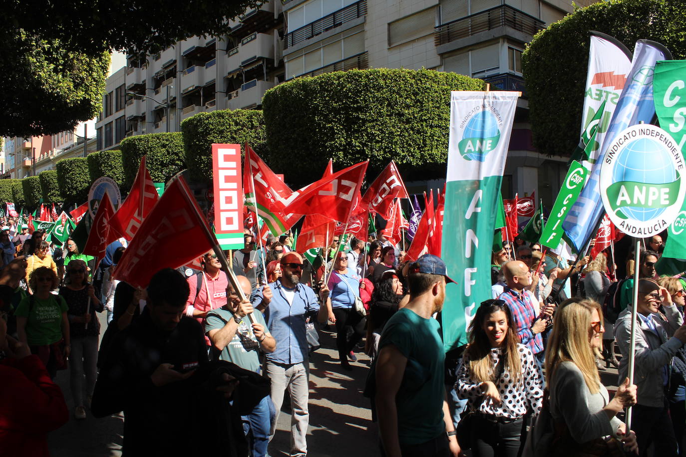 Un millar de manifestantes se han echado a la calle contra el decreto de escolarización. 