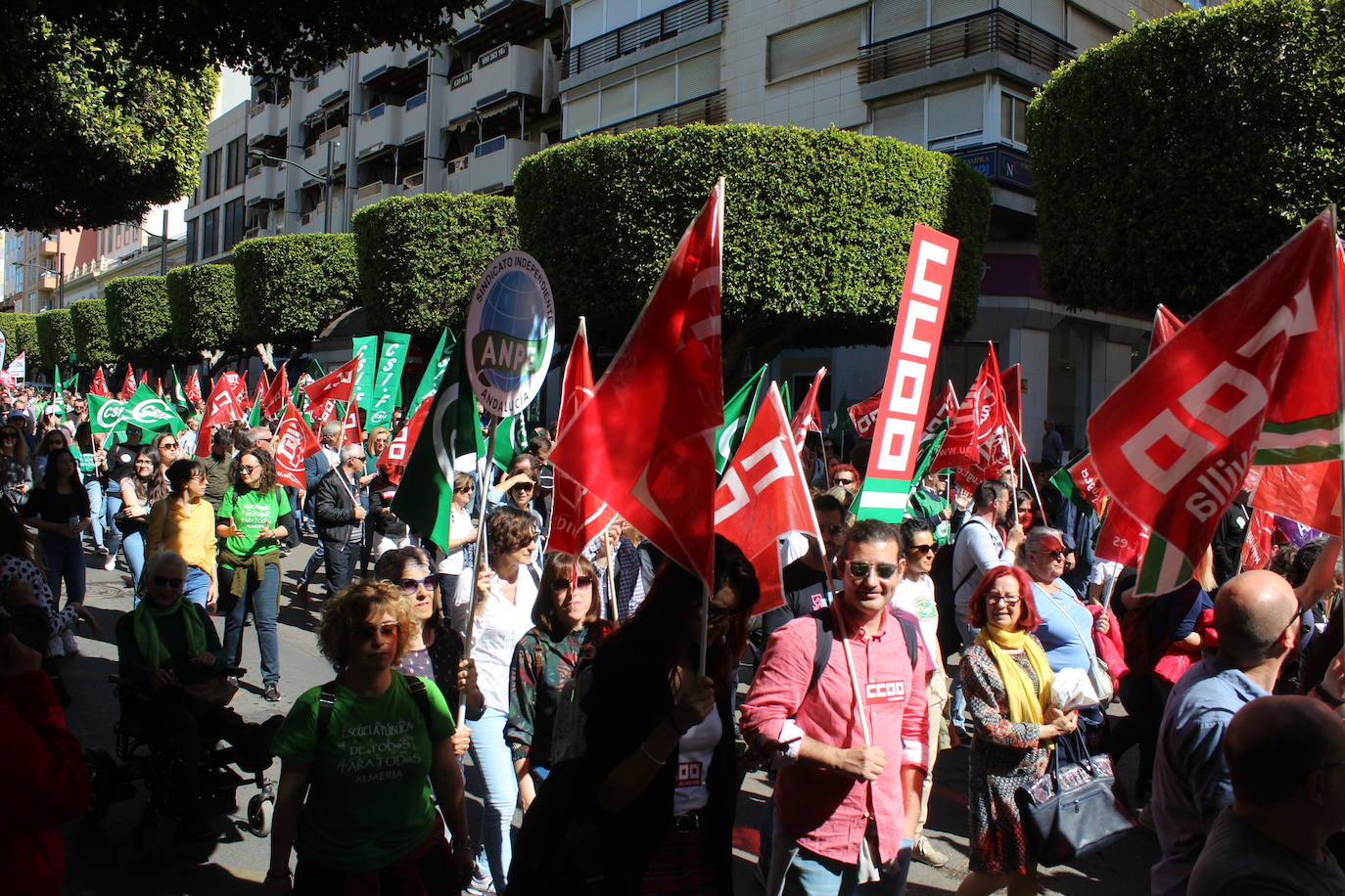 Un millar de manifestantes se han echado a la calle contra el decreto de escolarización. 