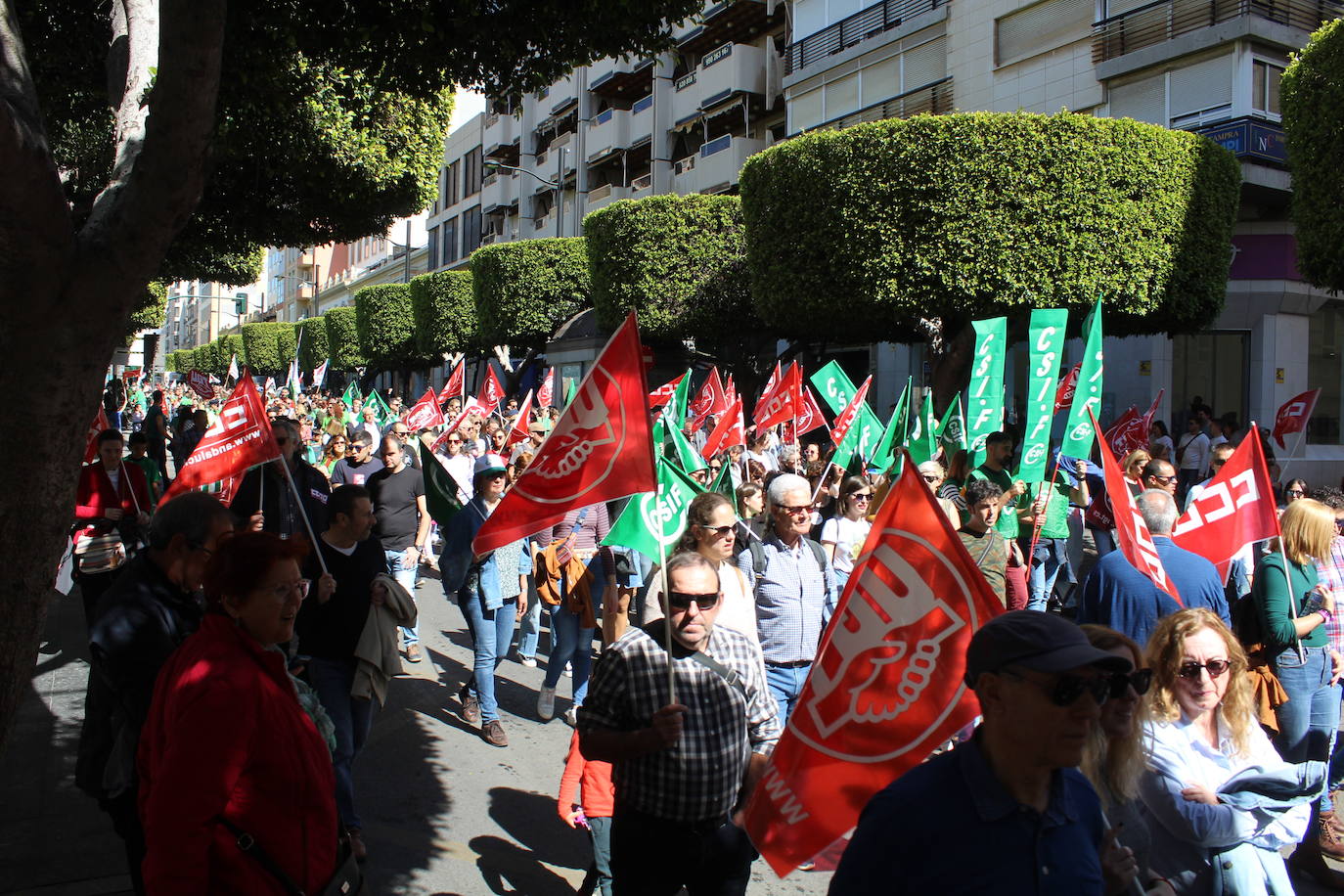 Un millar de manifestantes se han echado a la calle contra el decreto de escolarización. 
