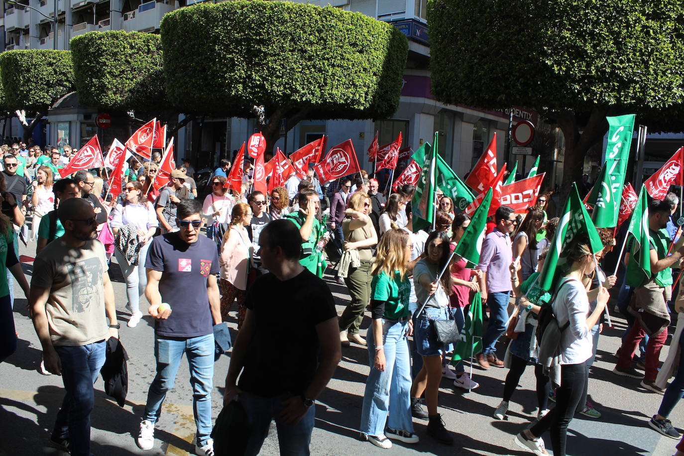 Un millar de manifestantes se han echado a la calle contra el decreto de escolarización. 
