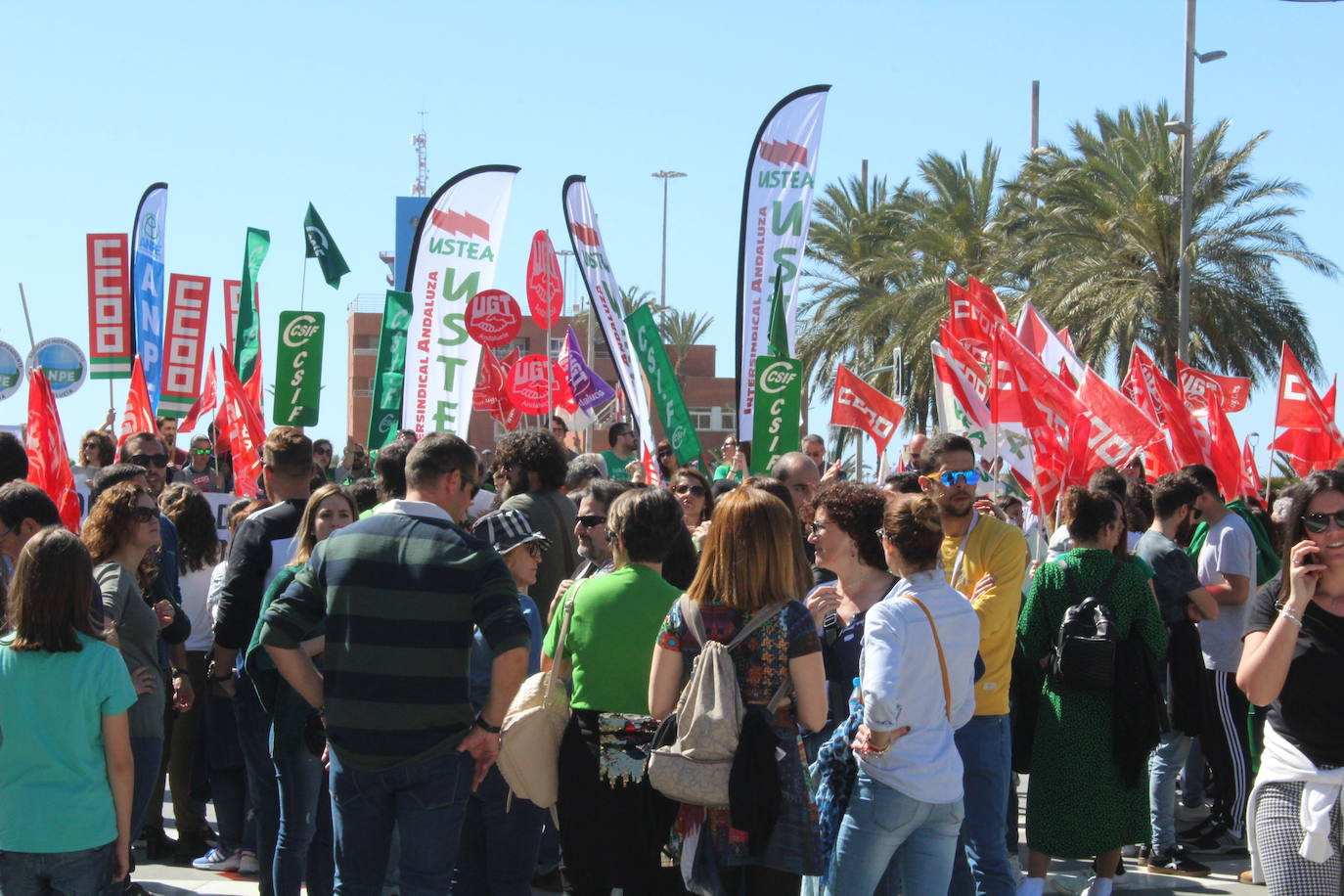 Un millar de manifestantes se han echado a la calle contra el decreto de escolarización. 