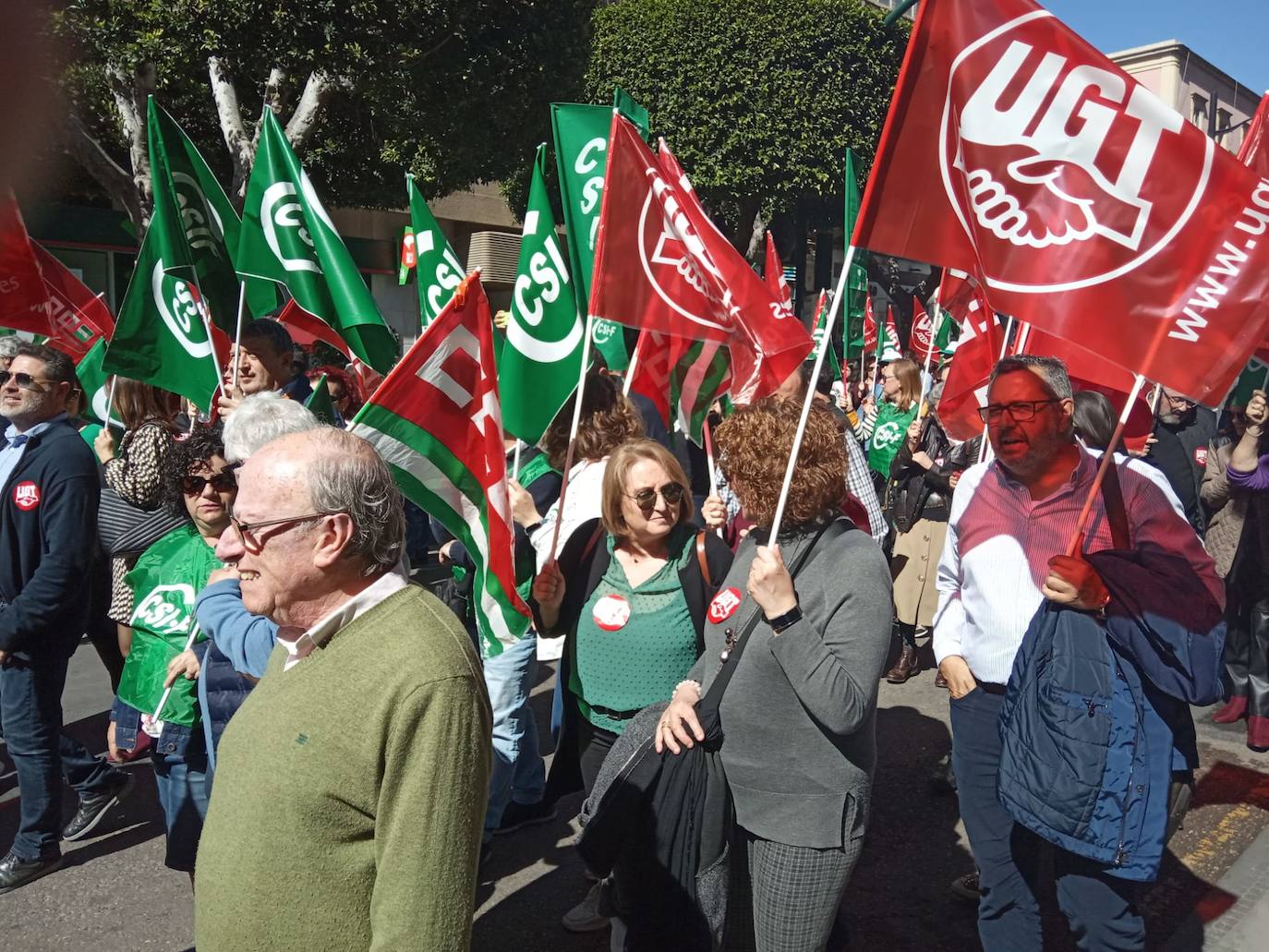Un millar de manifestantes se han echado a la calle contra el decreto de escolarización. 