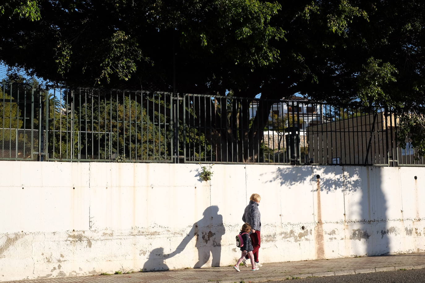 Colegio Francisco Mejías en Motril