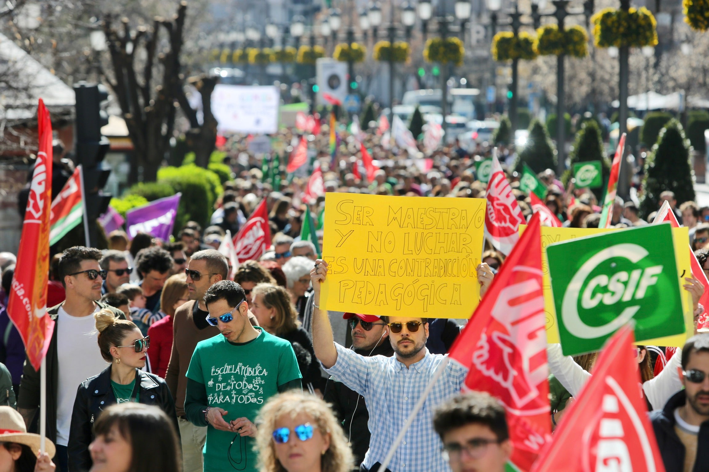 Colegio Francisco Mejías en Motril