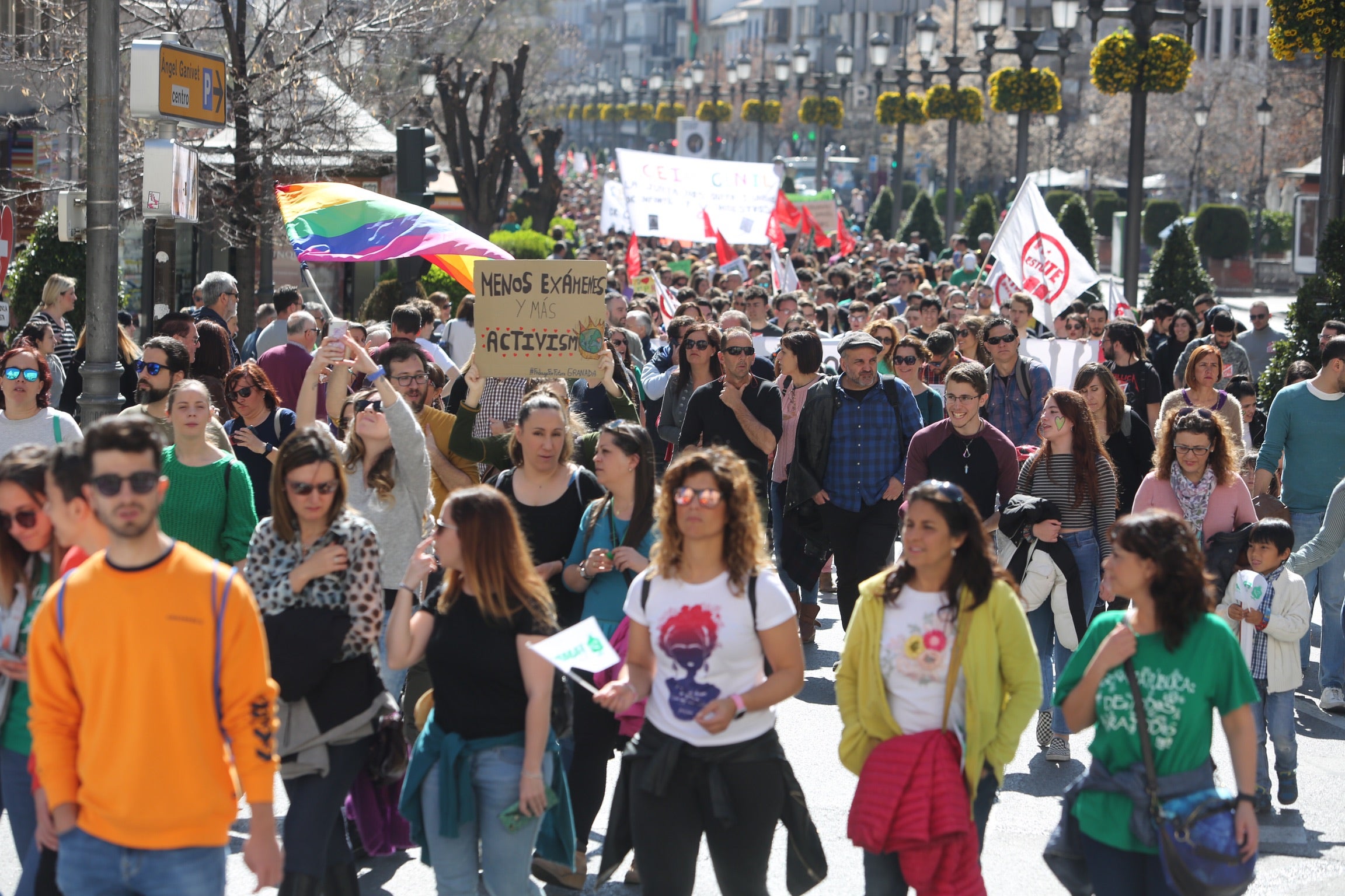 Colegio Francisco Mejías en Motril
