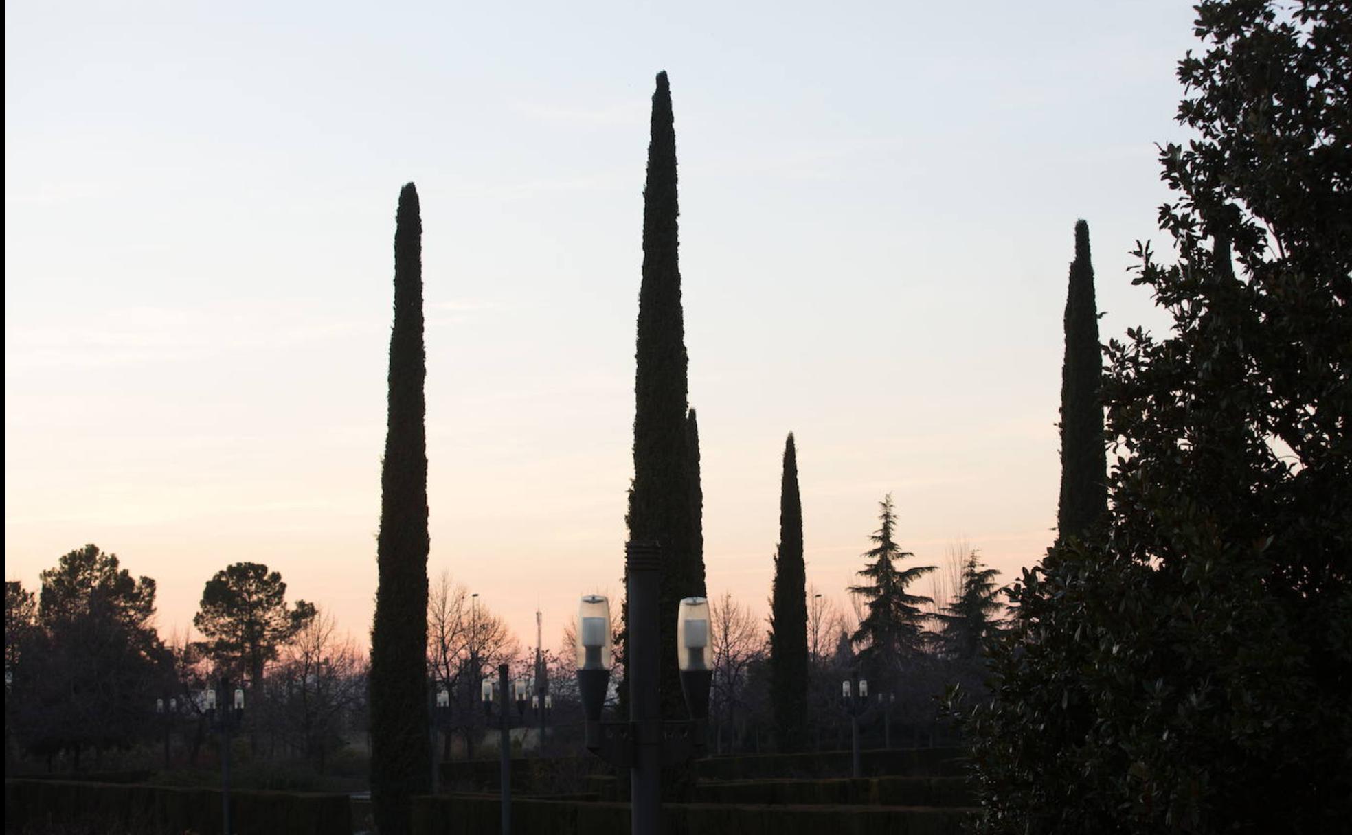 Crónicas de Graná | Los perdedores del Parque García Lorca