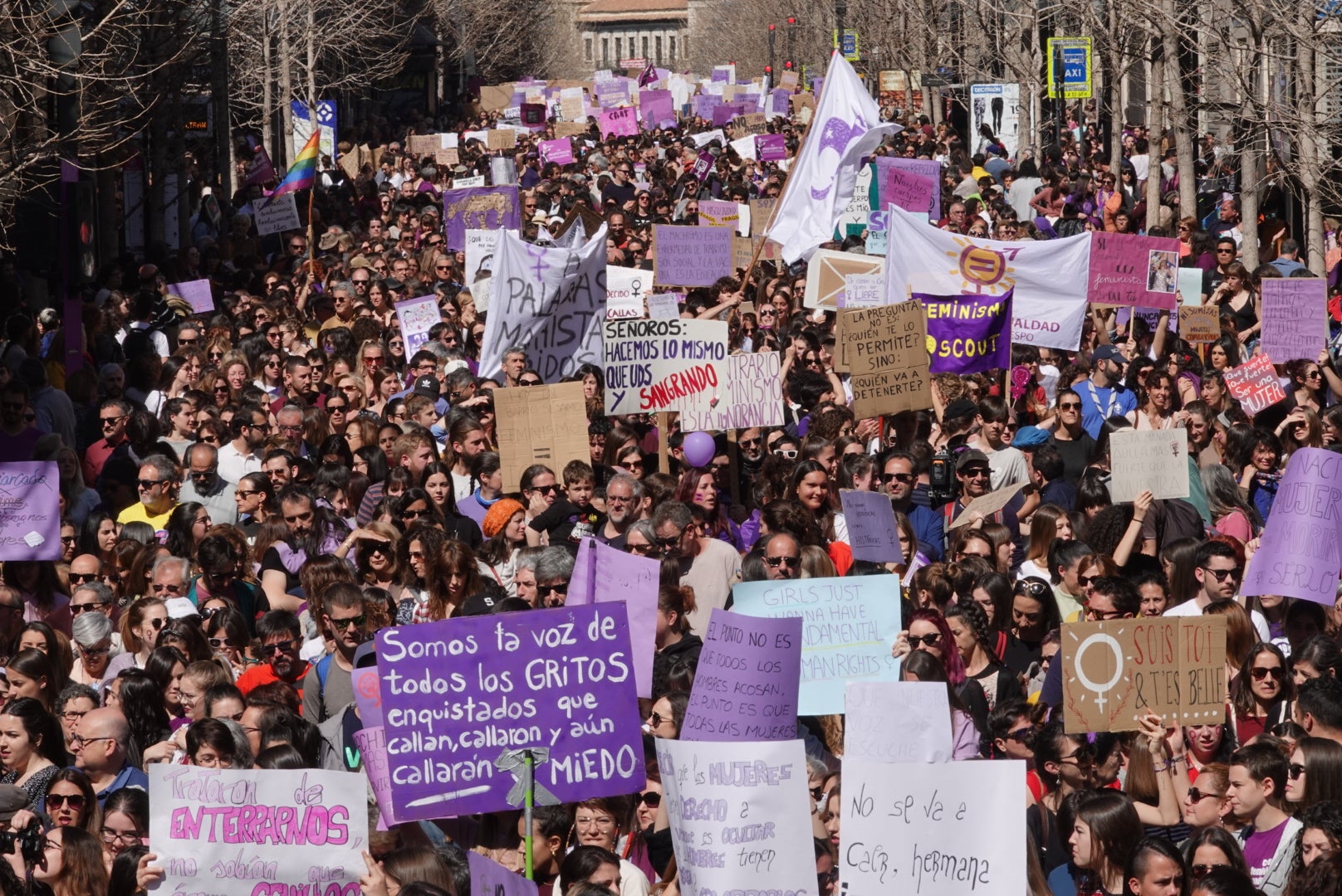 Repaso completo en imágenes a una marcha multitudinaria este Día de la Mujer en Granada