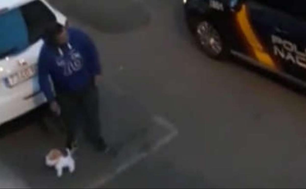 Coronavirus | Multan a un hombre por salir a pasear un perro de peluche por la calle en estado de alarma